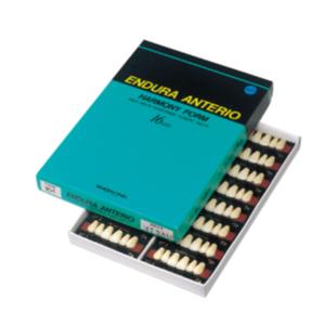 ENDURA ARTIFICAL TEETH